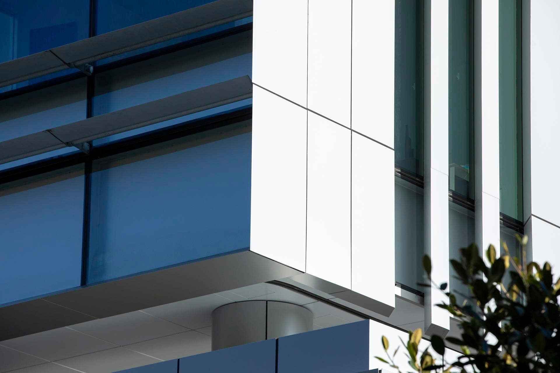 Detail of Alpolic NC white façade panels integrated with glass windows at the Charles Perkins Centre.